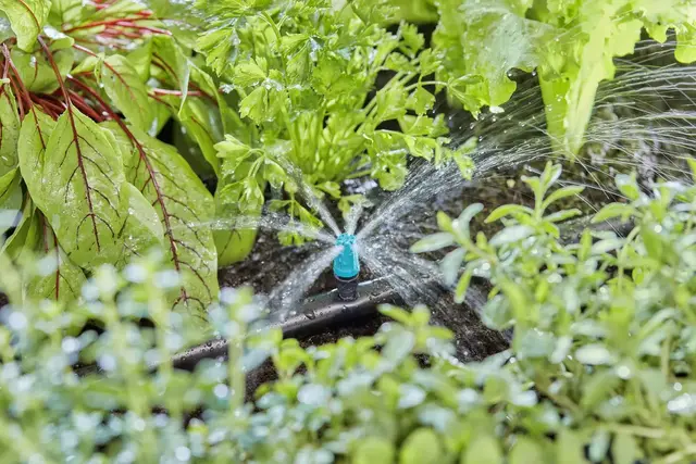Gardena Micro-Drip Spraydyse for mindre områder 