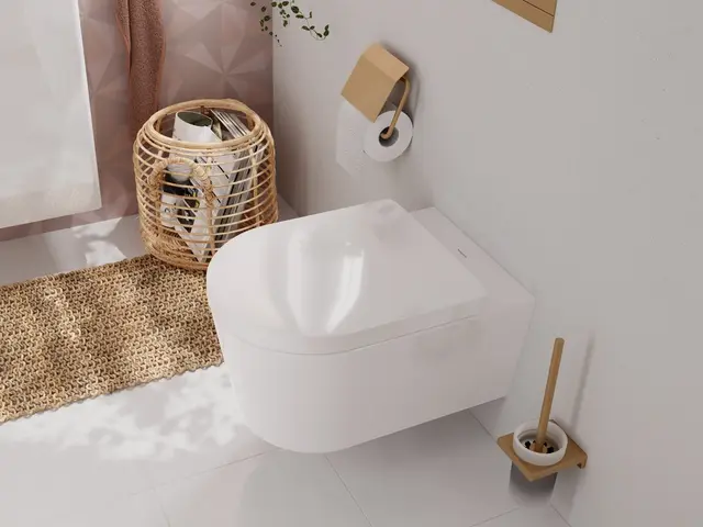 Hansgrohe EluPura S Toalettpakke U/skyllekant, Sete, HygieneEffect, Hvit 