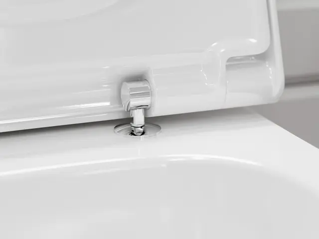 Hansgrohe EluPura Q Toalettpakke U/skyllekant, Sete, HygieneEffect, Hvit 
