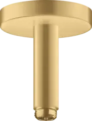 Axor Takstuss, 100 mm Børstet Gull