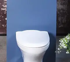 Gustavsberg Estetic Lux Toalettsete For vegghengt, m/myktlukkende hengsler