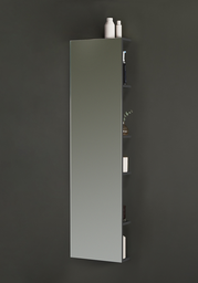 Hafa Store Speil i helfigur 400 40x155 cm, m/oppbevaring 400, Antrasitt